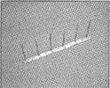pc01.gif