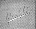 pc03.gif